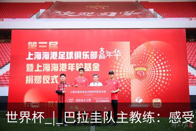 世界杯 | 巴拉圭队主教练：感受到比赛的极致压力