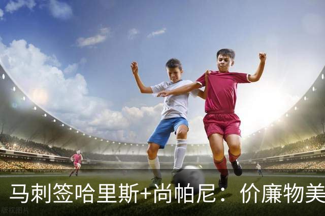 马刺签哈里斯+尚帕尼：价廉物美
